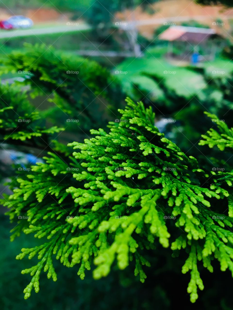 Can you talk about mThe reason Jacuzzise