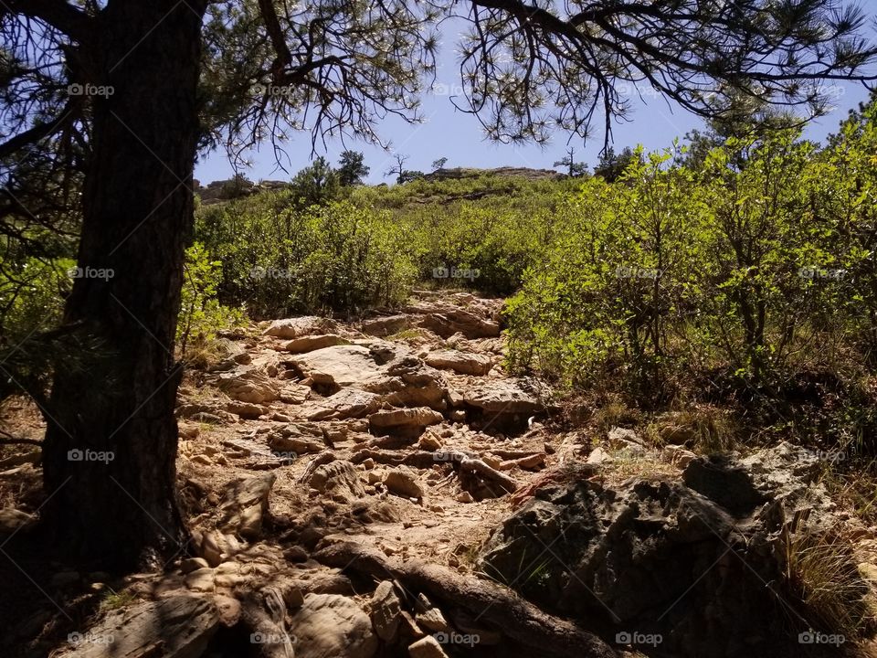 Hiking Trail in Colorado