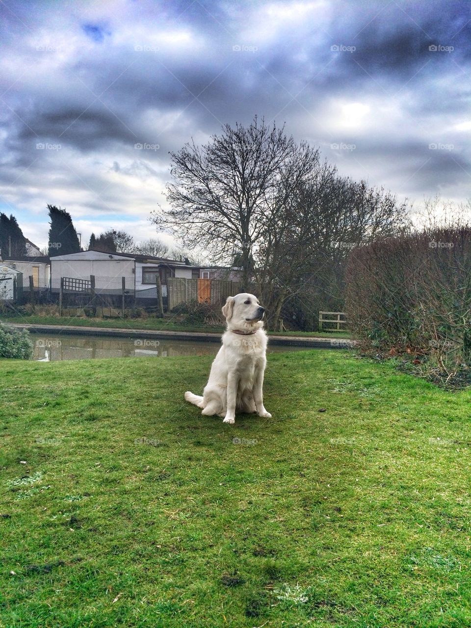 Zoe posing at the canal