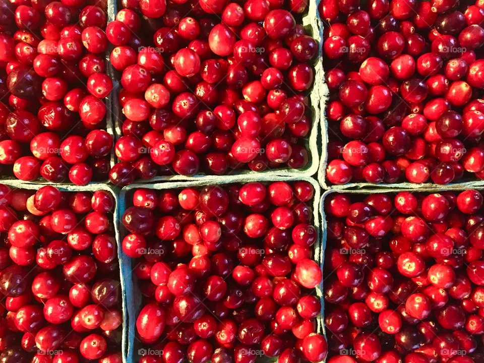 Cranberries 