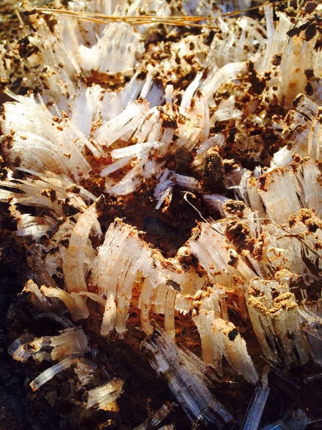 Ice in the dirt