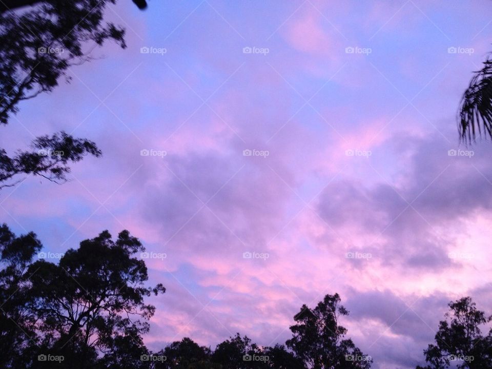 Purple Pink Cloudy Skies