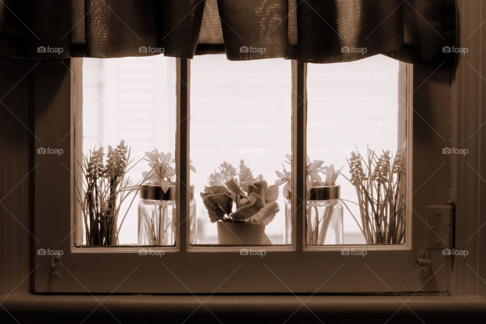 Sepia Window