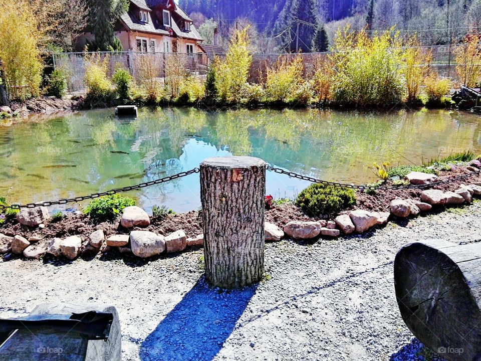 mountain lake in Black Forest Germany