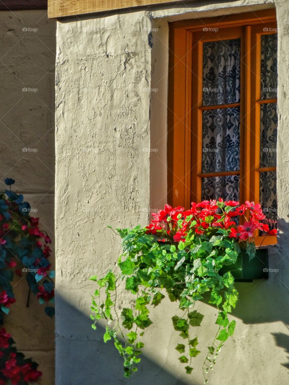 Flowering Vines Growing From A Windowsill