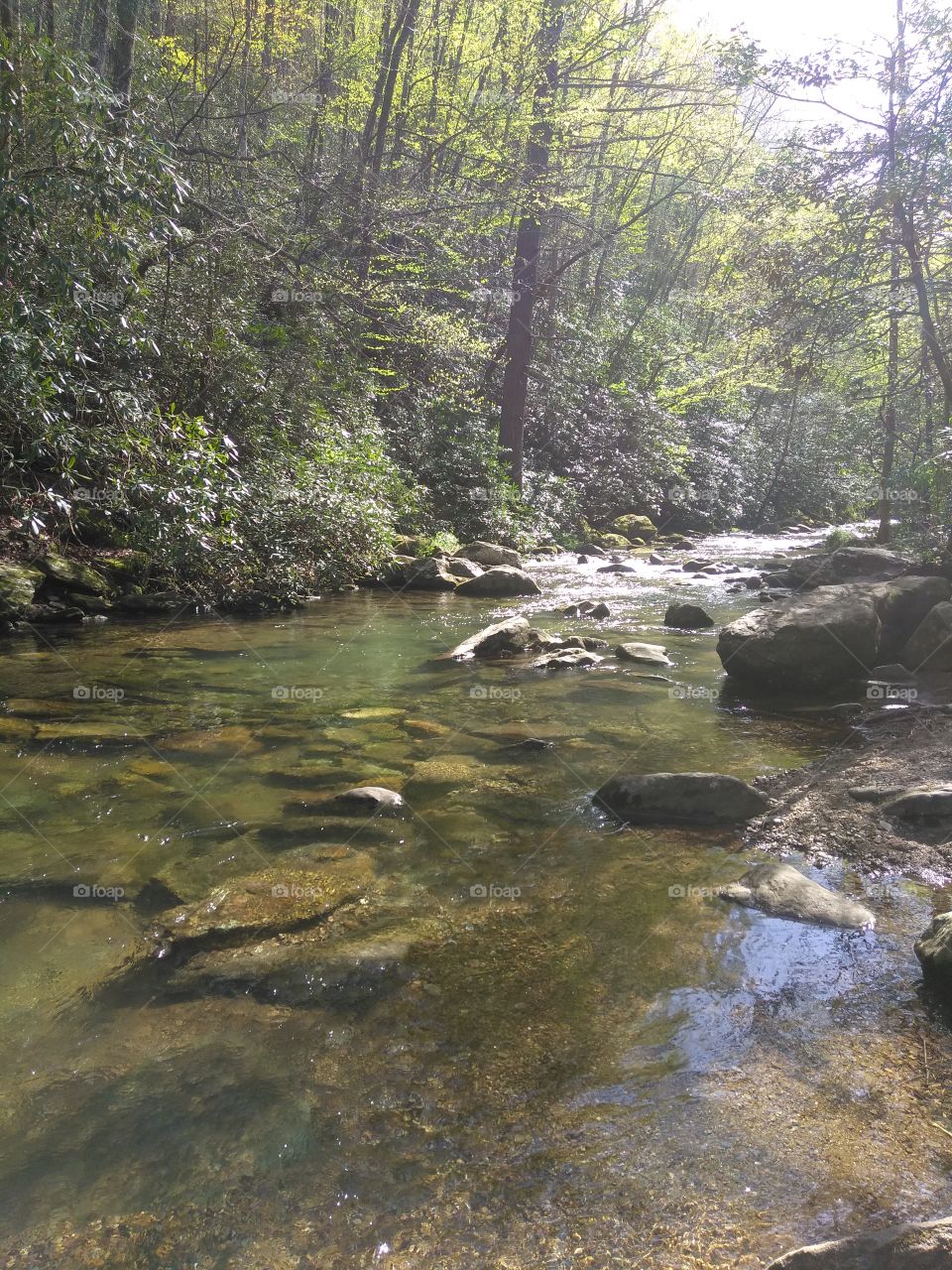 Just looking at this picture can almost make you imagine what this beautiful creek sounds like.
