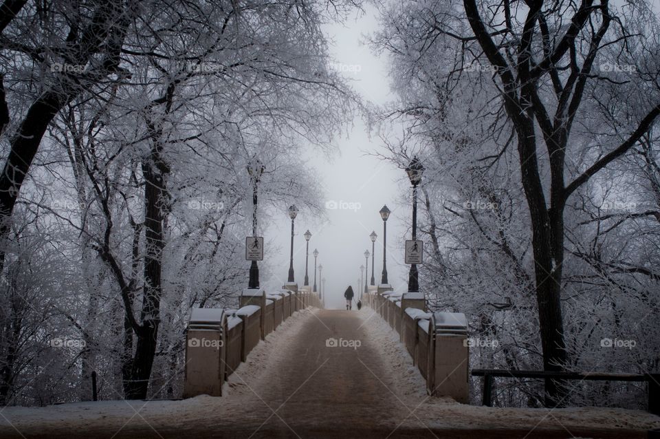 An early morning walk out at our city park after a spell of hoar frost appears overnight. The magical look of the park brought out dog walkers and photographers in the droves. 