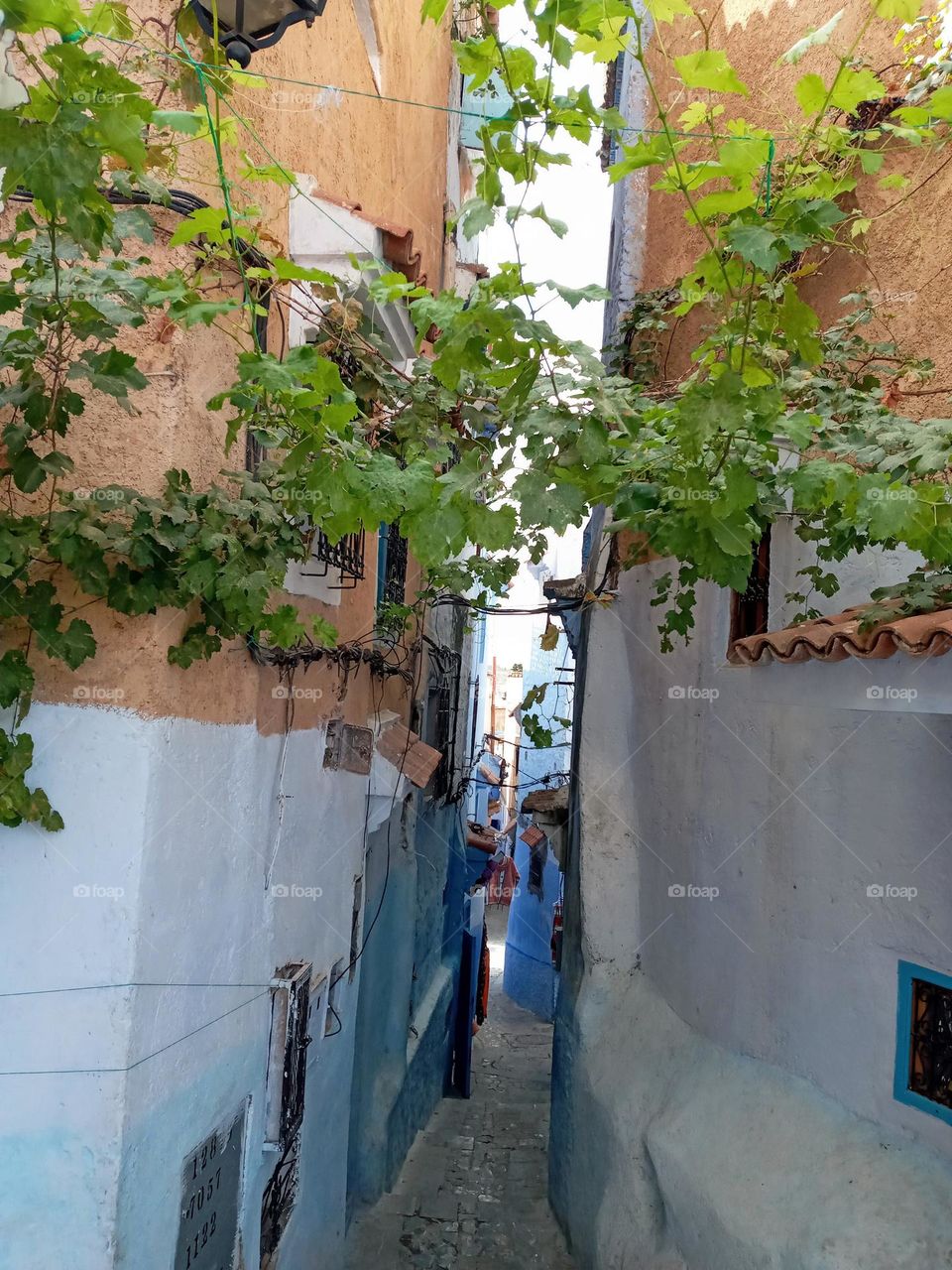 Alleys in chefchaouen city of morocco