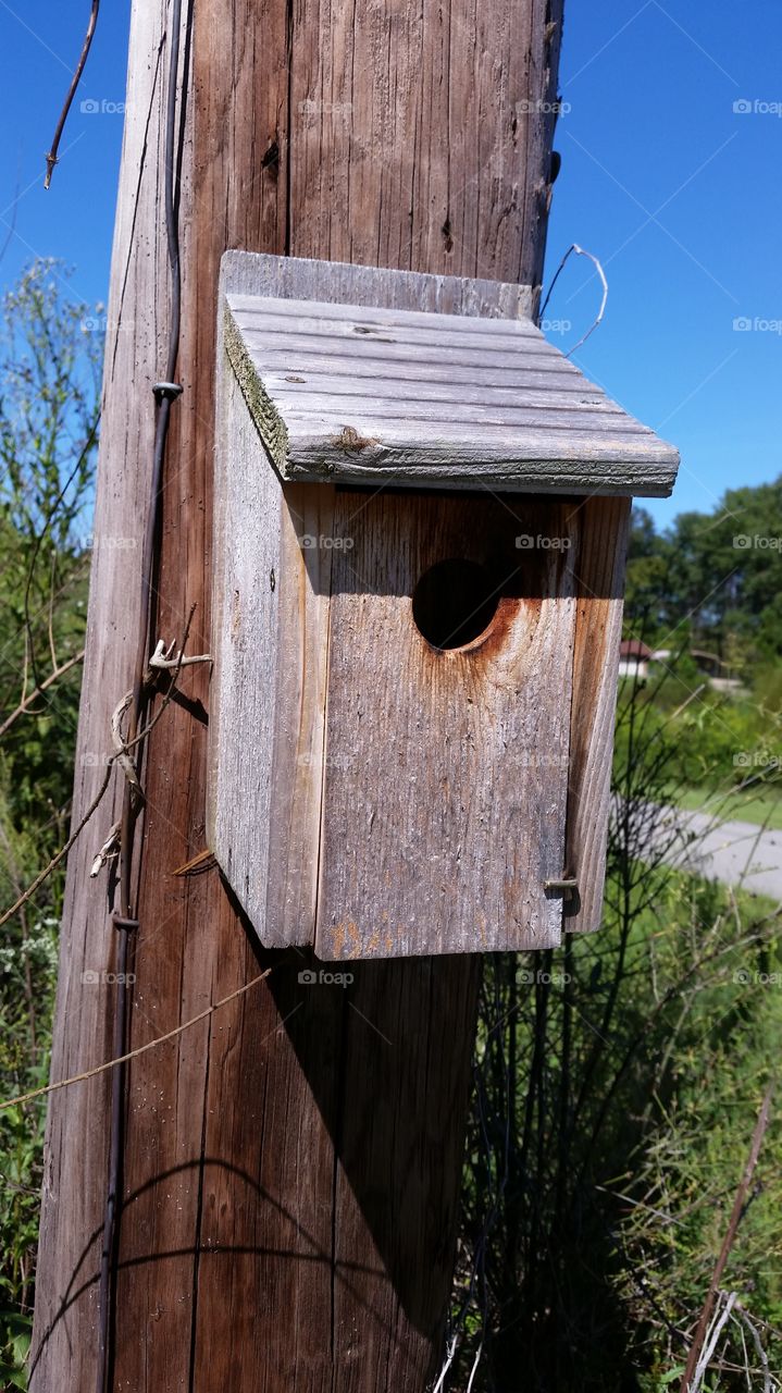 bird house on Sunday. found this while working Sunday afternoon