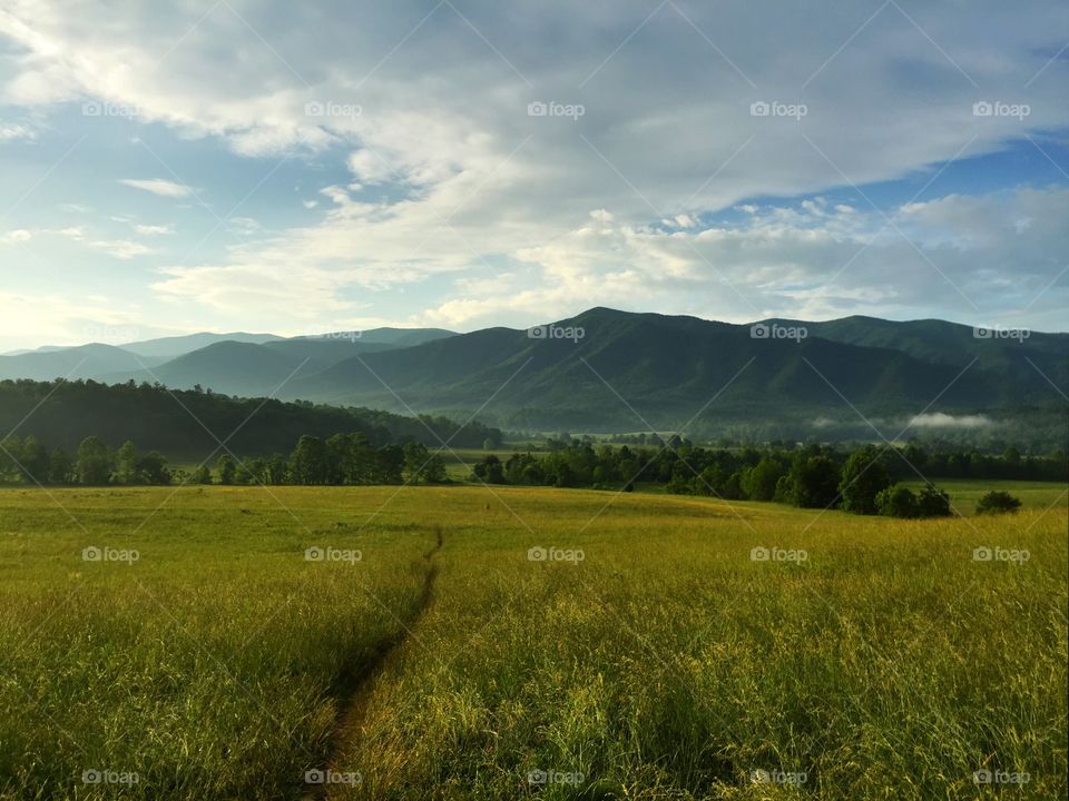 Scenic view of agriculture field