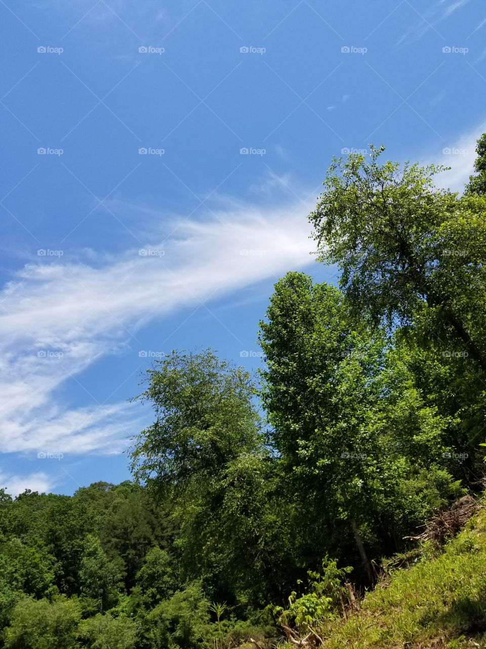 Georgia  Sky