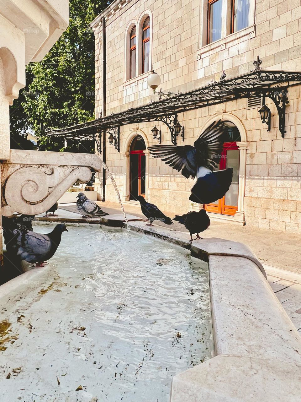 Dove flying away at an urban fountain