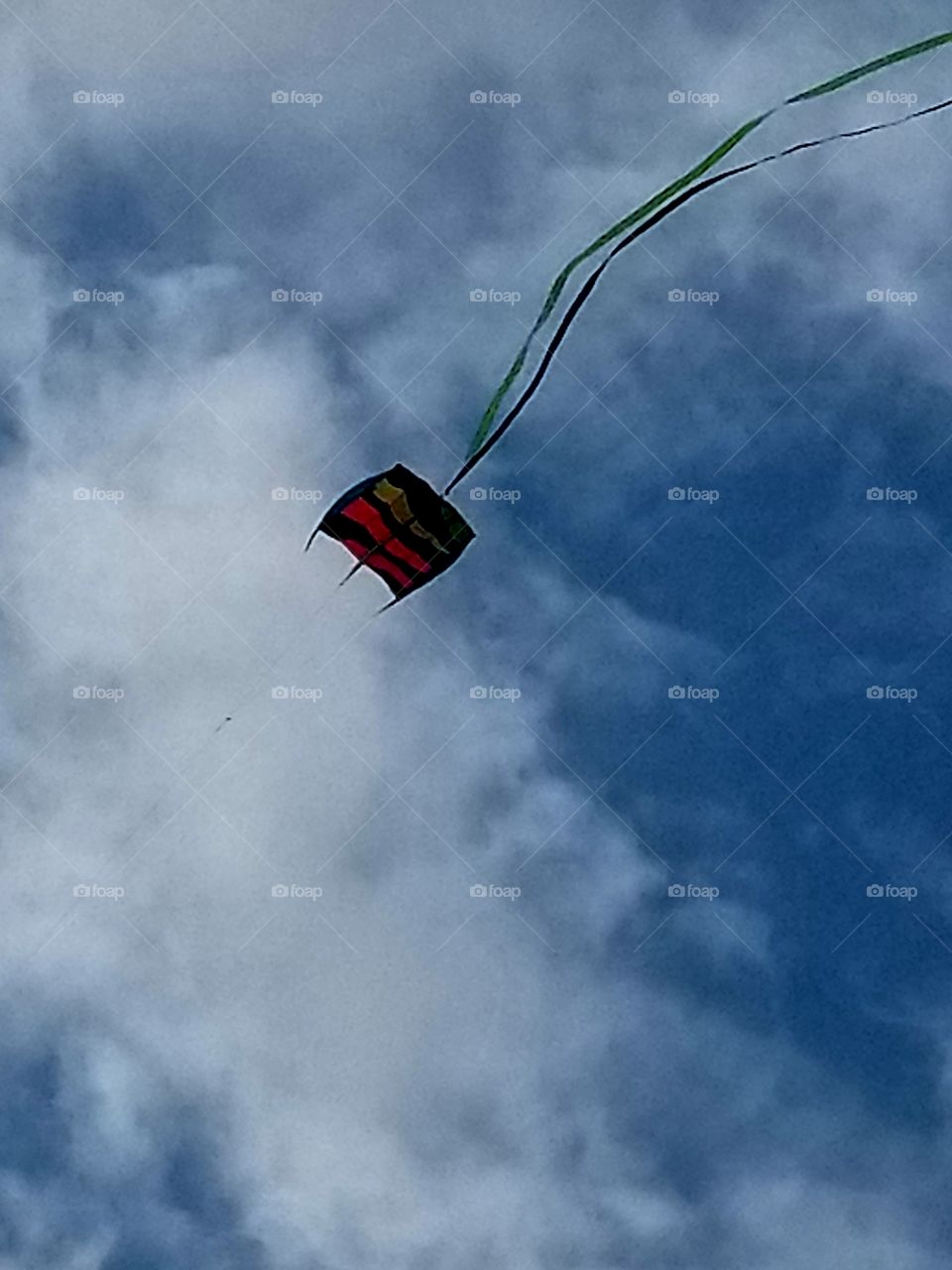 Kite in Sky 2