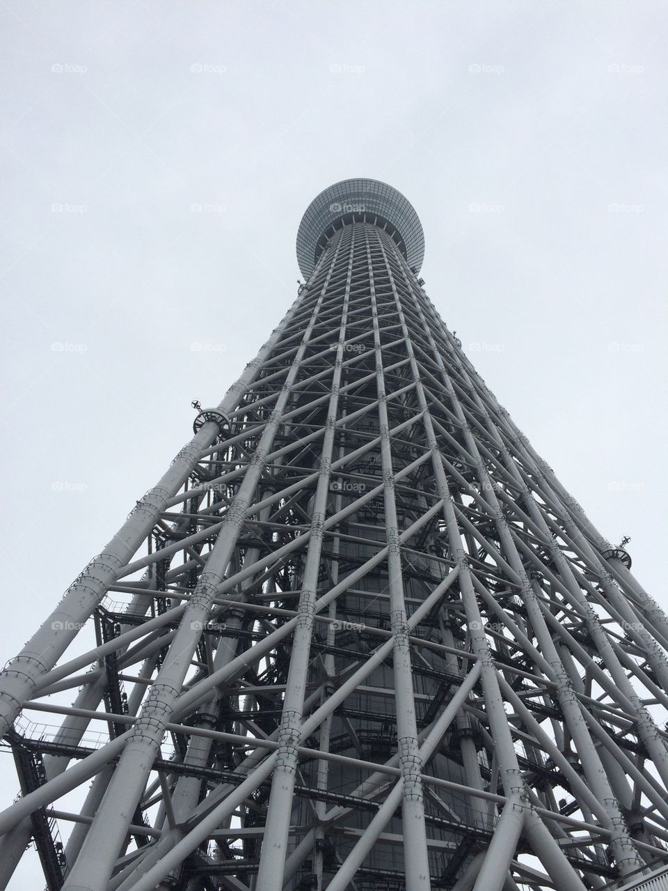 Sky tree 