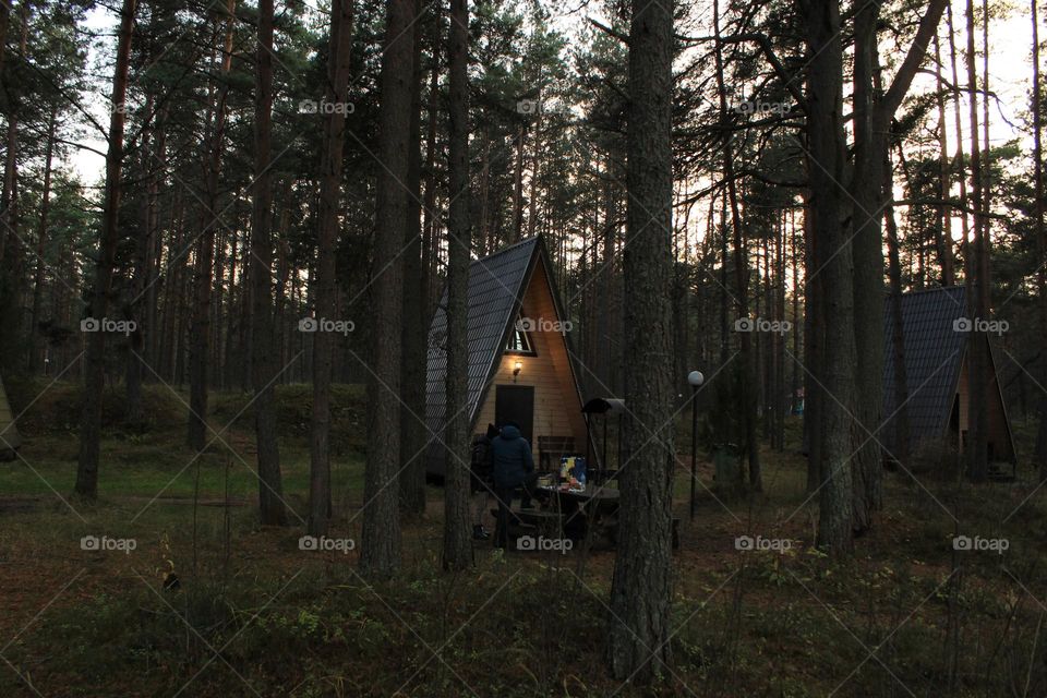 A forest house