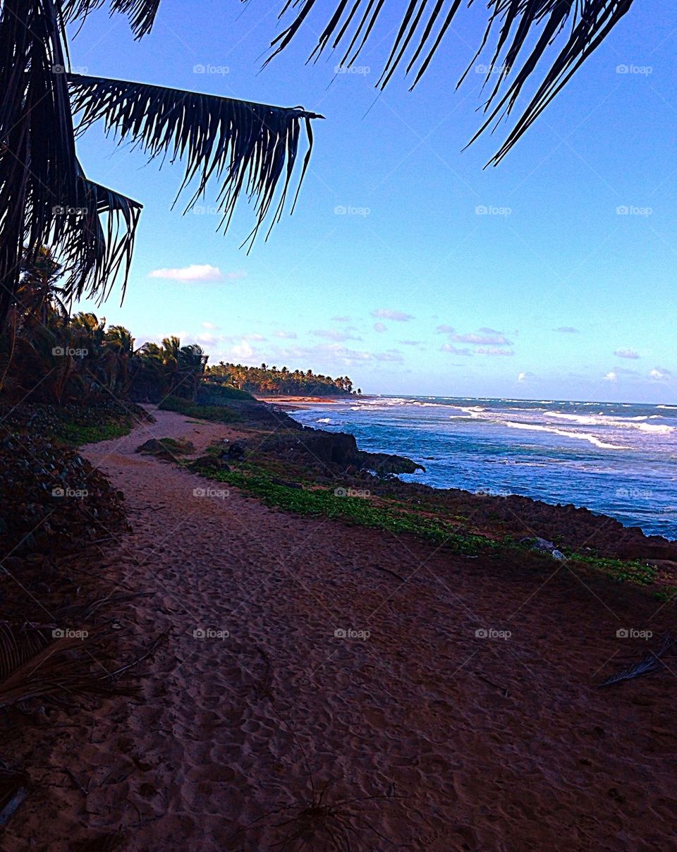 Ride along the coast