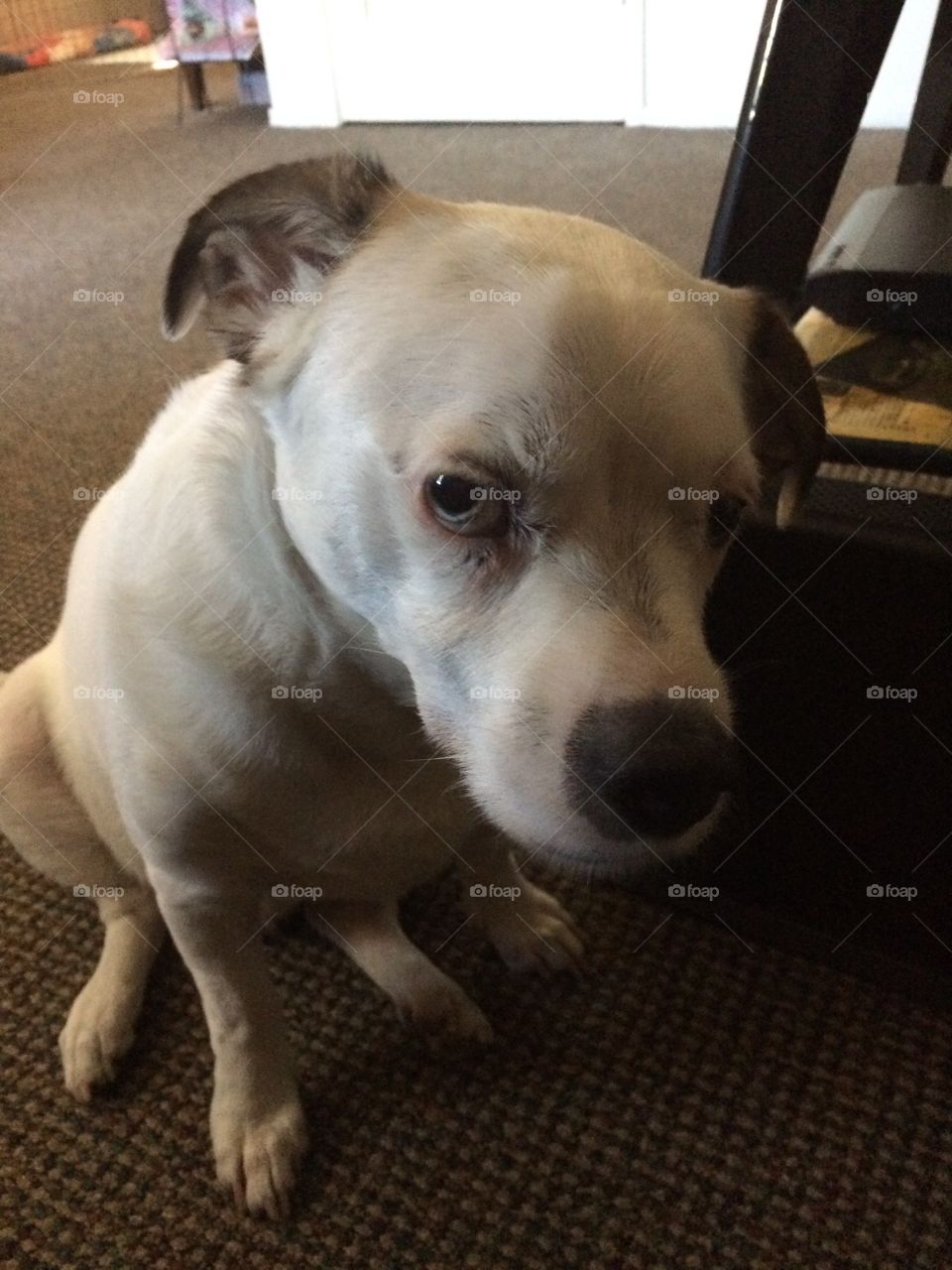 Don't take my picture 