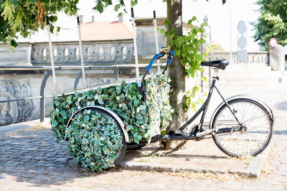 One lonely bicycle covered with green leaves in the middle of the city, no people 