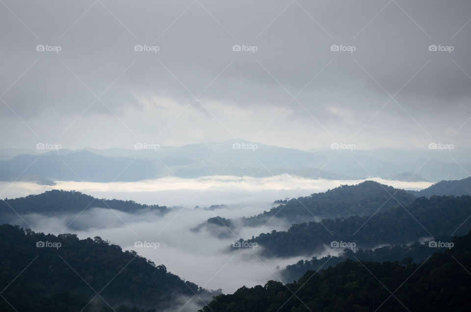 Sea of mist on the mountain.