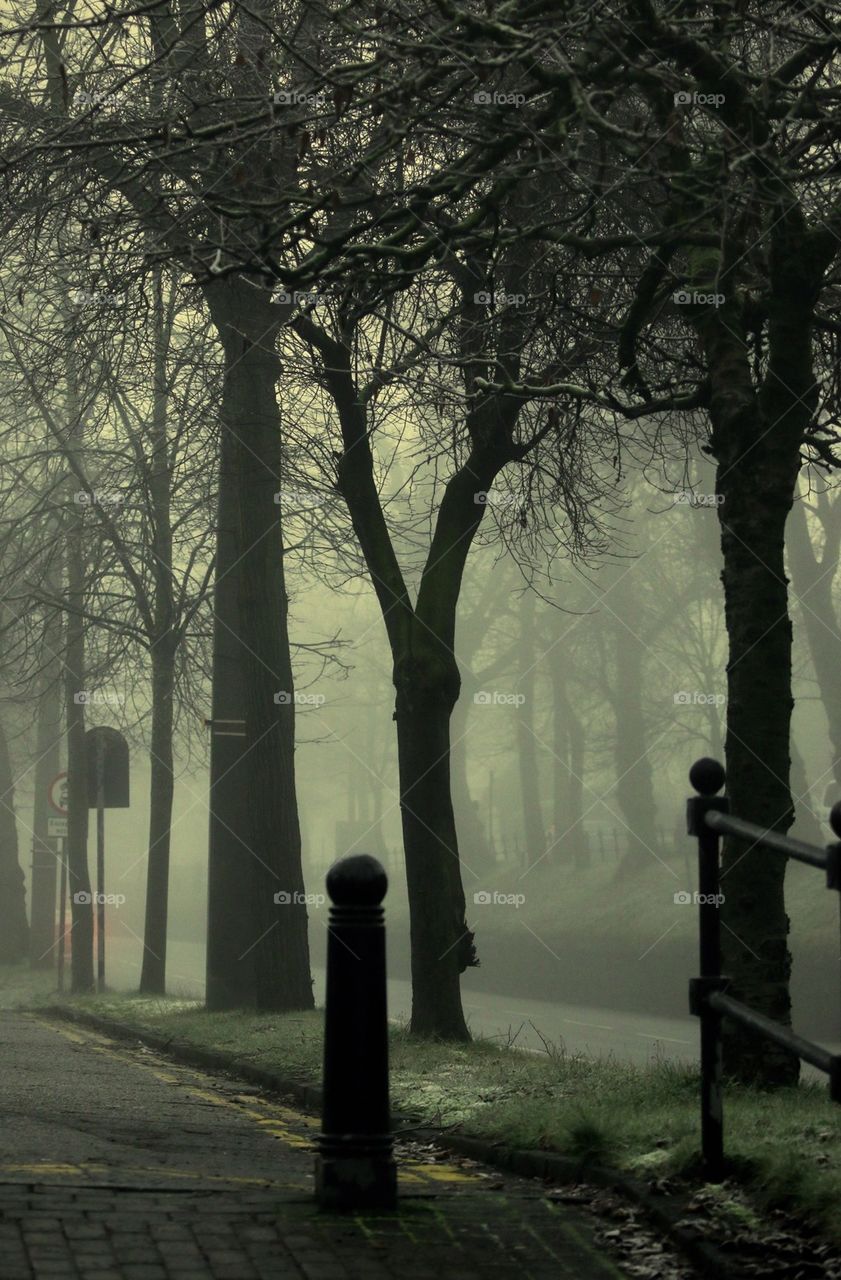 Foggy street 