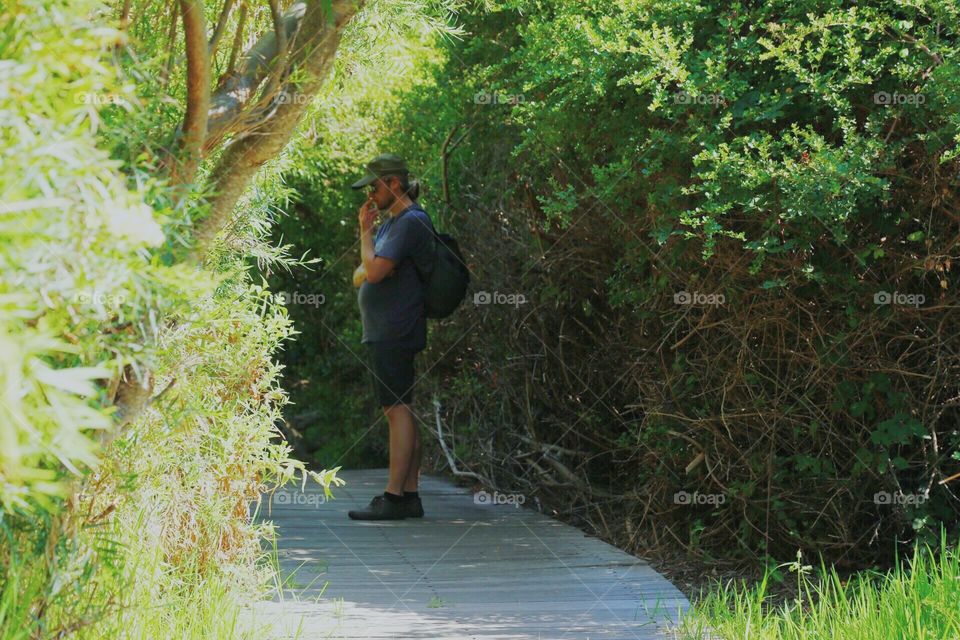 Man walking in the deep green bushes in a park 