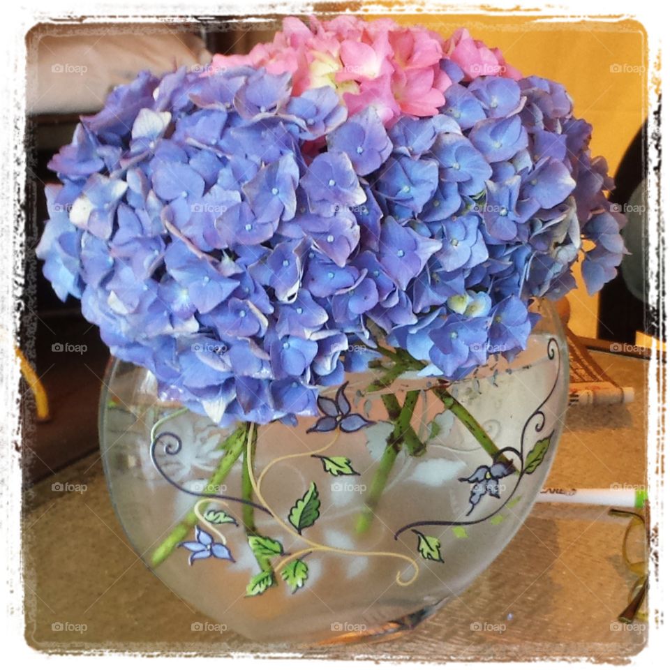 Garden bounty. Hydrangeas from my garden