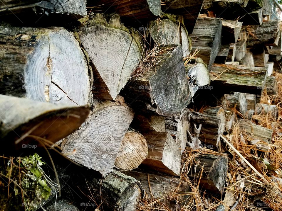 Wood Pile