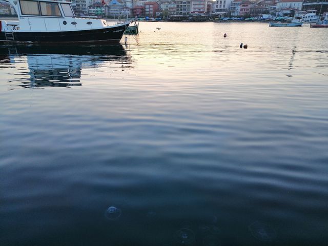 Sea