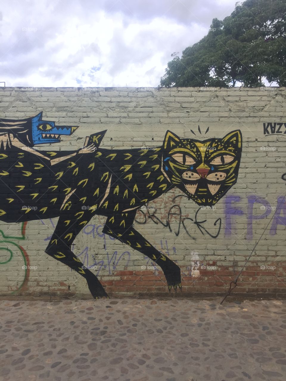 Jaguar graffiti on a brick wall in Oaxaca, Mexico