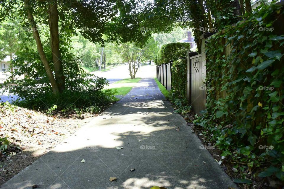 pathway. Spartanburg SC sidewalk