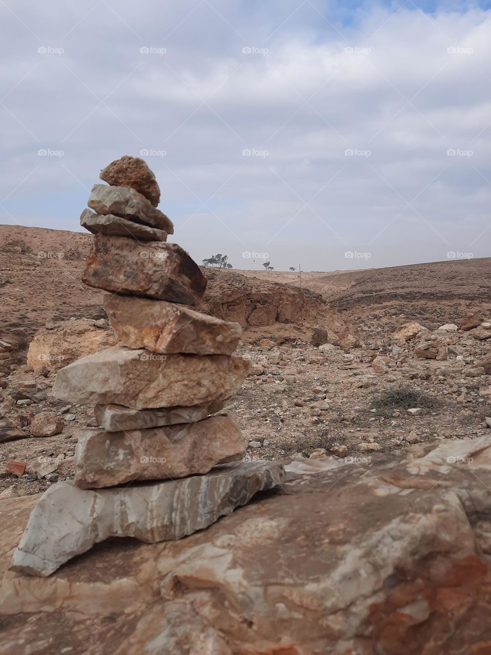 Desert mark of the direction