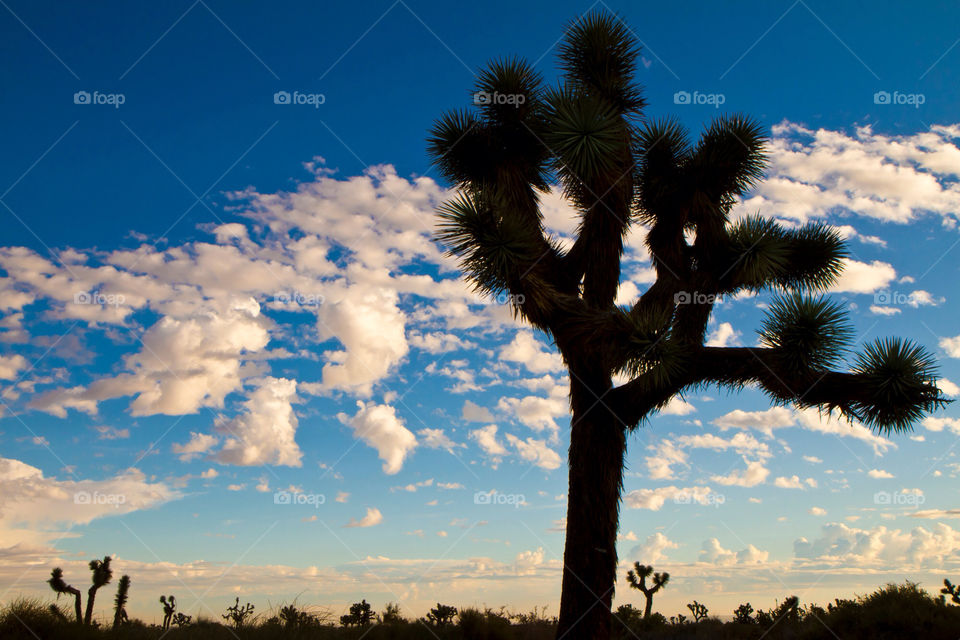 california landscape sky morning by kingrum