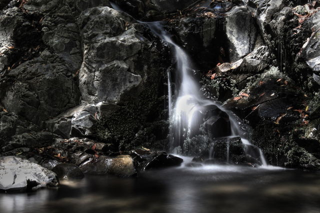 Uvas Canyon Falls