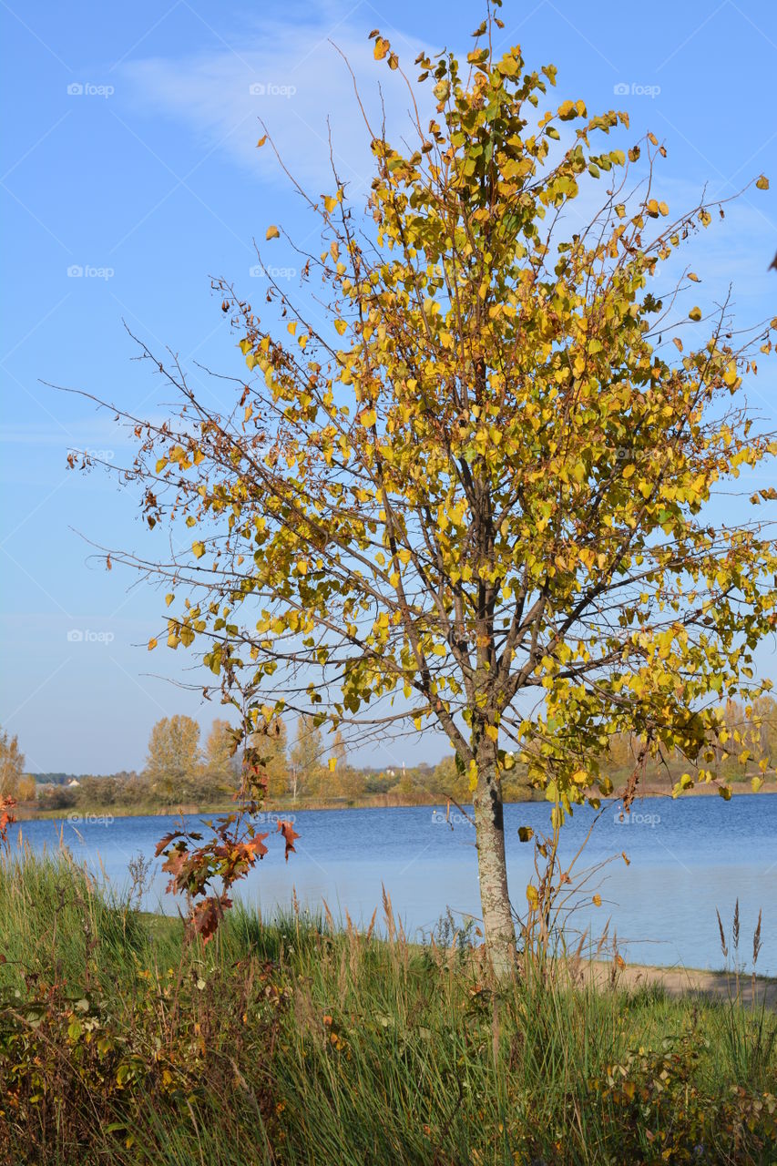 lake beautiful nature landscape and tree autumn time blue sky background, no filters