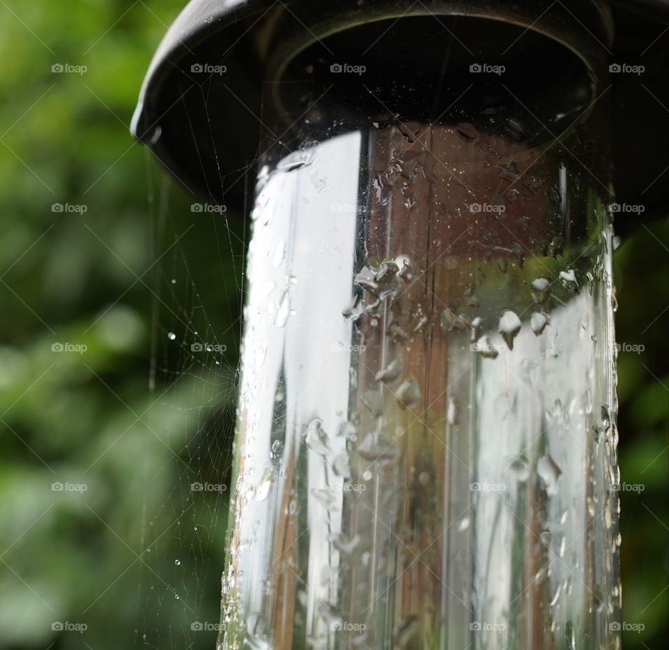 Raindrops and spider web