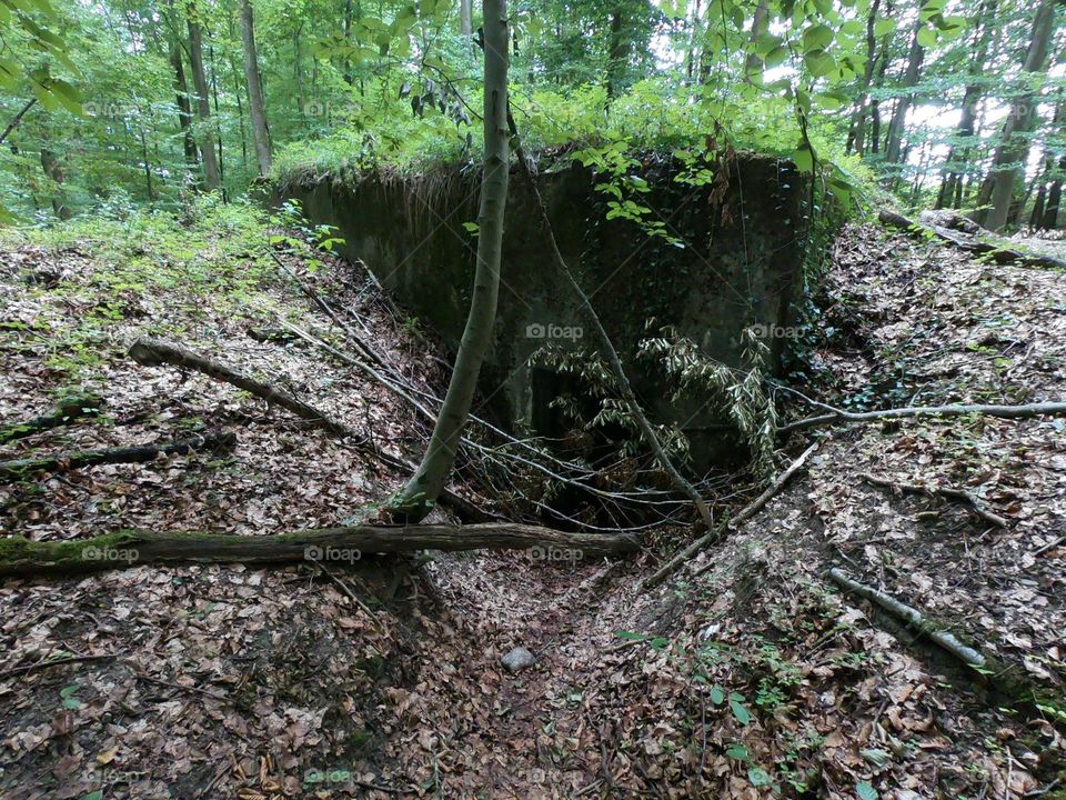 Bunker in germany