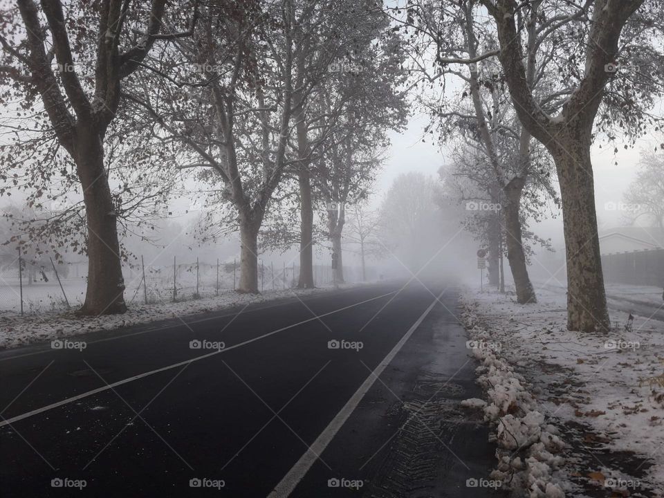 road in the fog