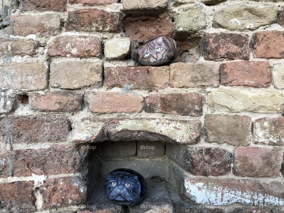 Stone cats portrait on a brick wall