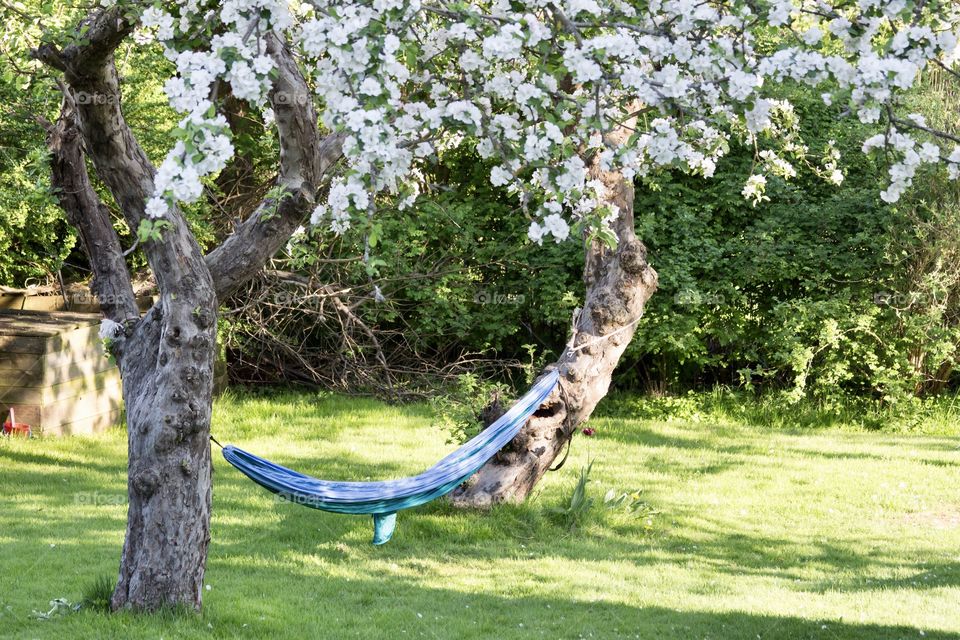 Relaxing in the garden in June 