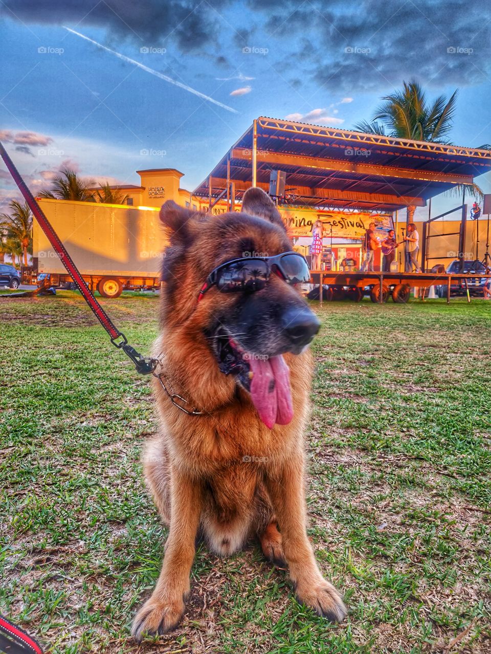 Shepard in sunglasses