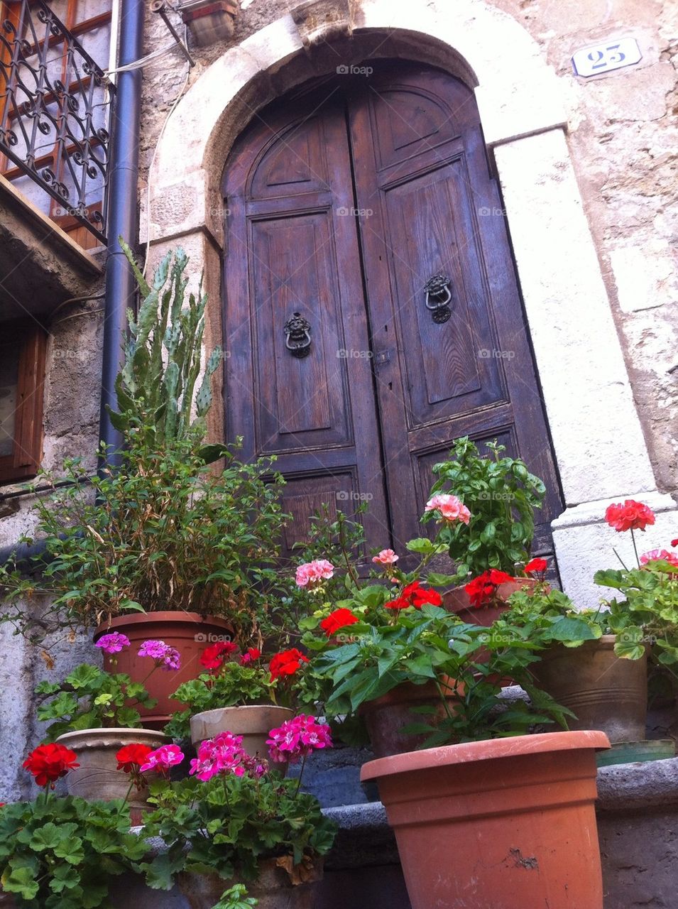 Old door with many flowers front of it