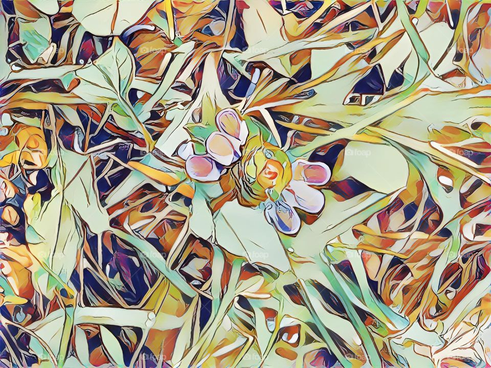 This is a Heal All wildflower abstract photo. I chose to create this as abstract with these colors, because art, like medicinal medicine, can be a heal all itself.