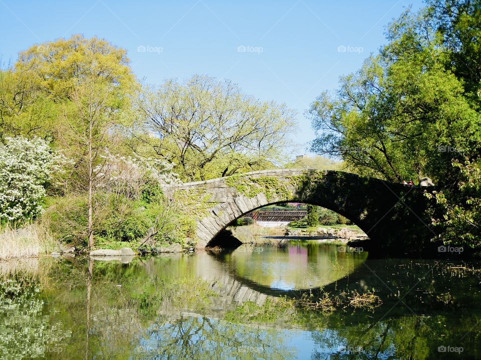 Gapstow bridge- A rustic stone construction that span the narrow neck of the pond on Central Park South. It's featured in movies like 'Home Alone 2'
