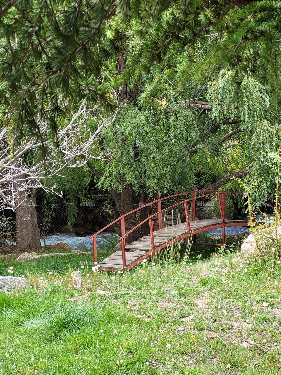 un puente cercano al río de montaña