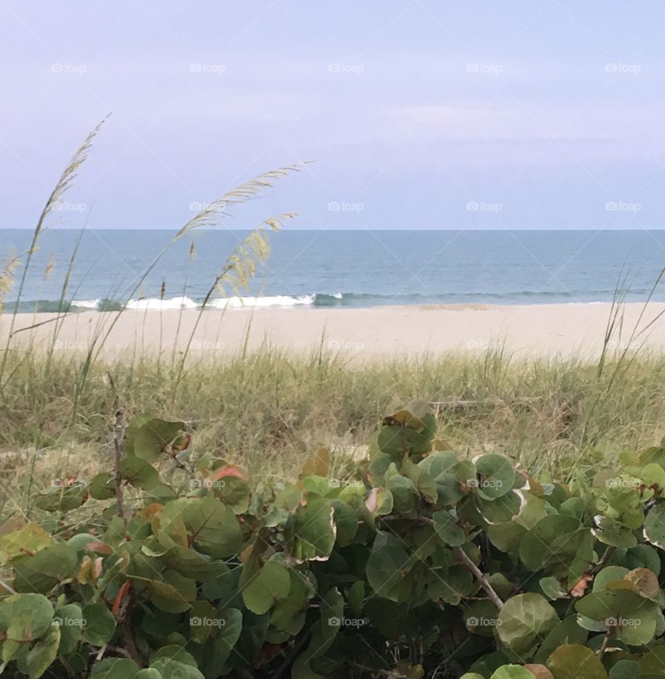 Sea, Nature, Water, Beach, Sky