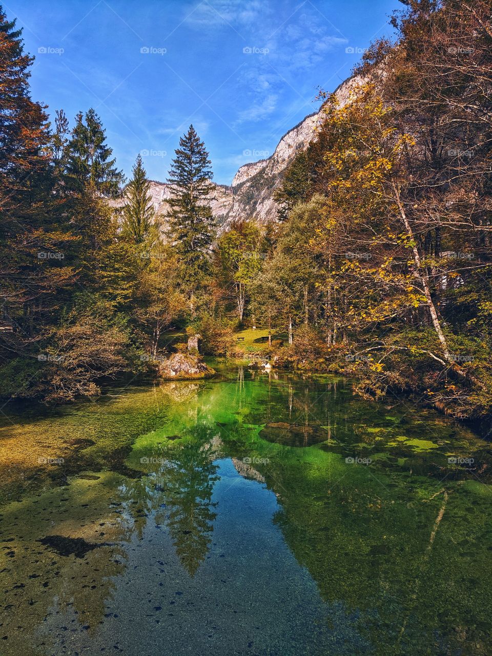 Wonderful view of the beautiful Bohinj lake with stunning green water.