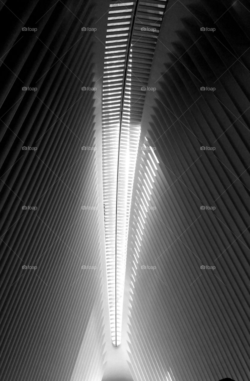 Inside of the Oculus