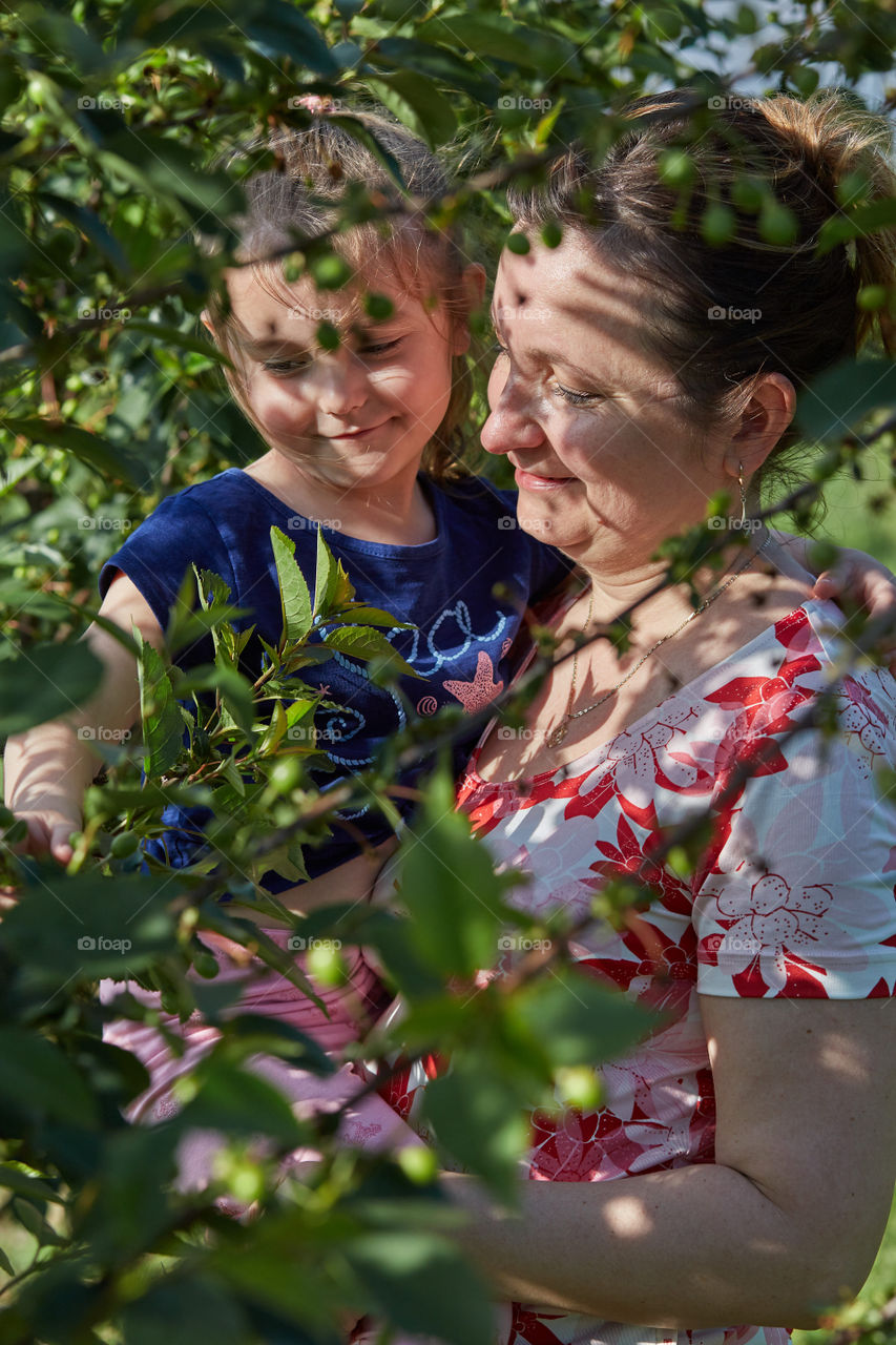 Mother showing her daughter cherries growing in a orchard. Real people. Authentic situations