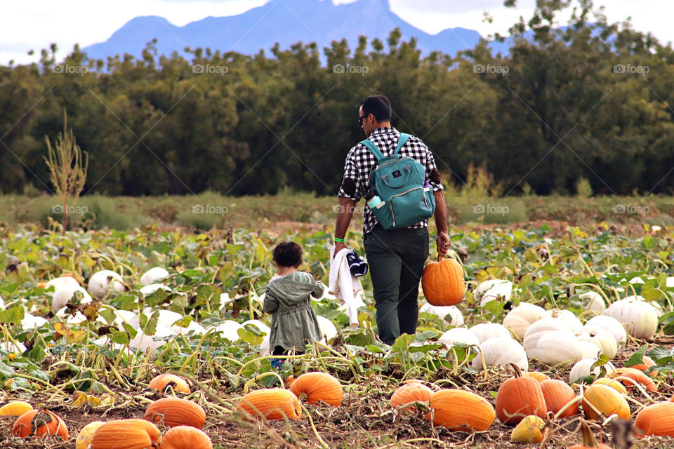 Pumpkins