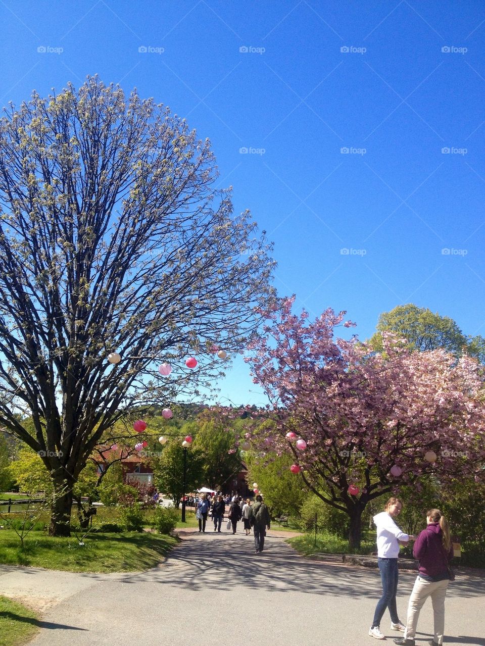 Botanic garden, Gothenburg